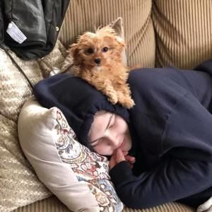 Meet your Posher, Tori